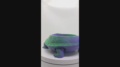 Dual Color Tortoise Catch Tray