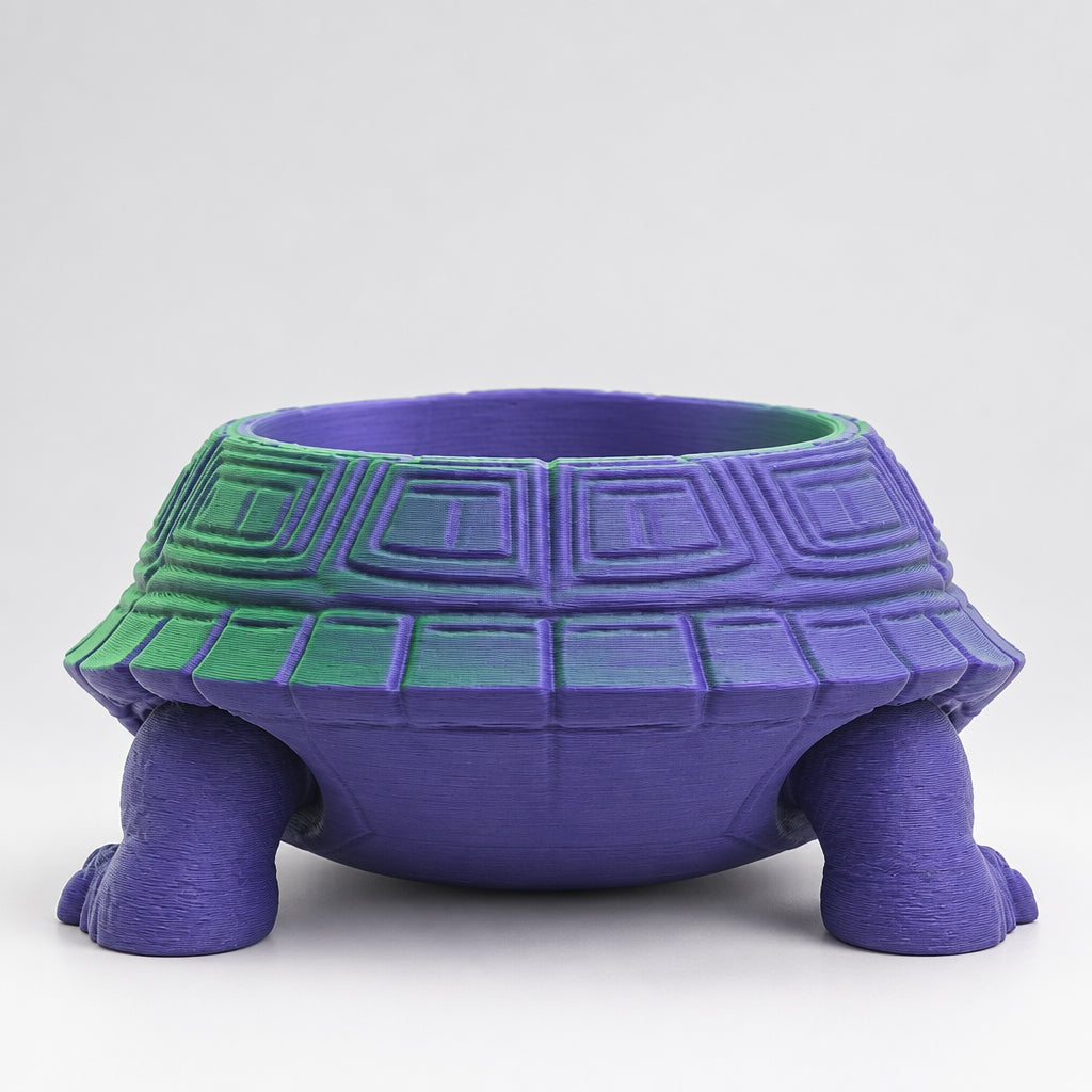 Dual Color Tortoise Catch Tray