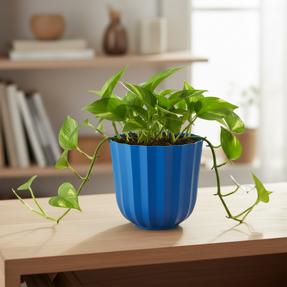 Modern Ribbed Planter Pot